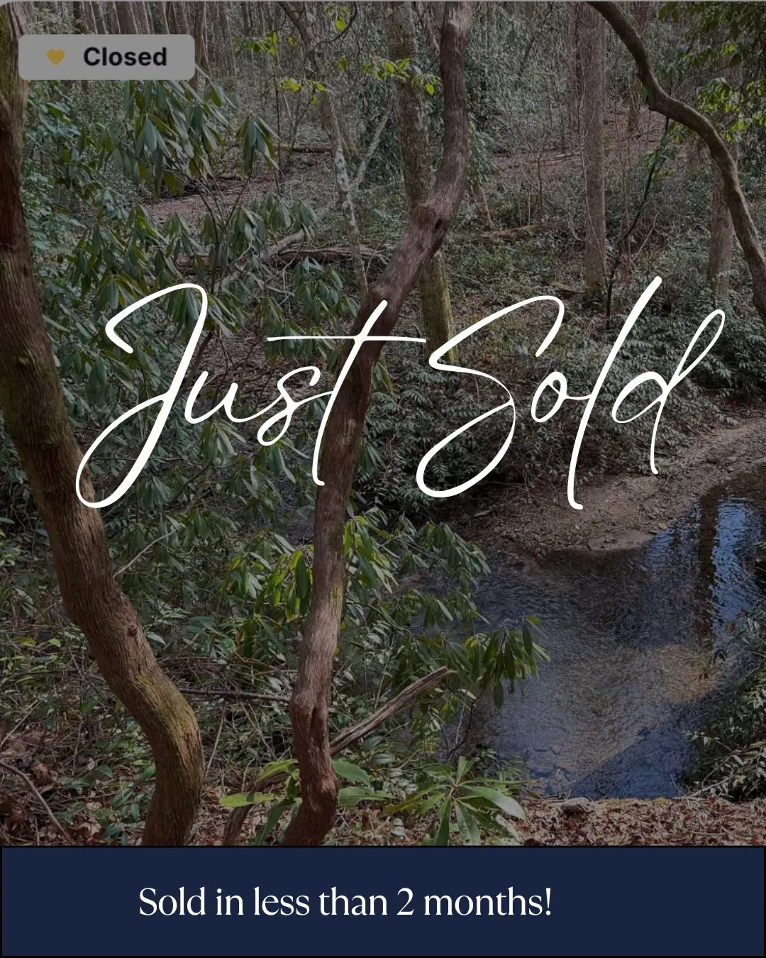 How We Sold "Unsellable" Land in 47 Days Using Ze Ri Date Selection